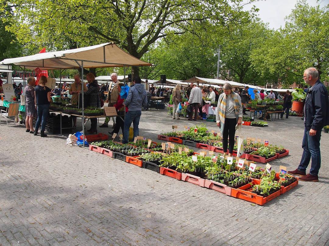 Rotterdamse Oogstmarkt 